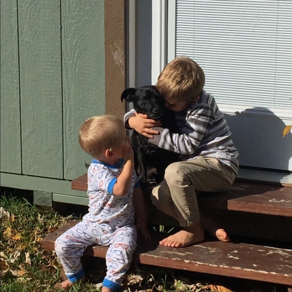 DOG FRIENDLY ENVIRONMENT😂 - Picture 11 of 16